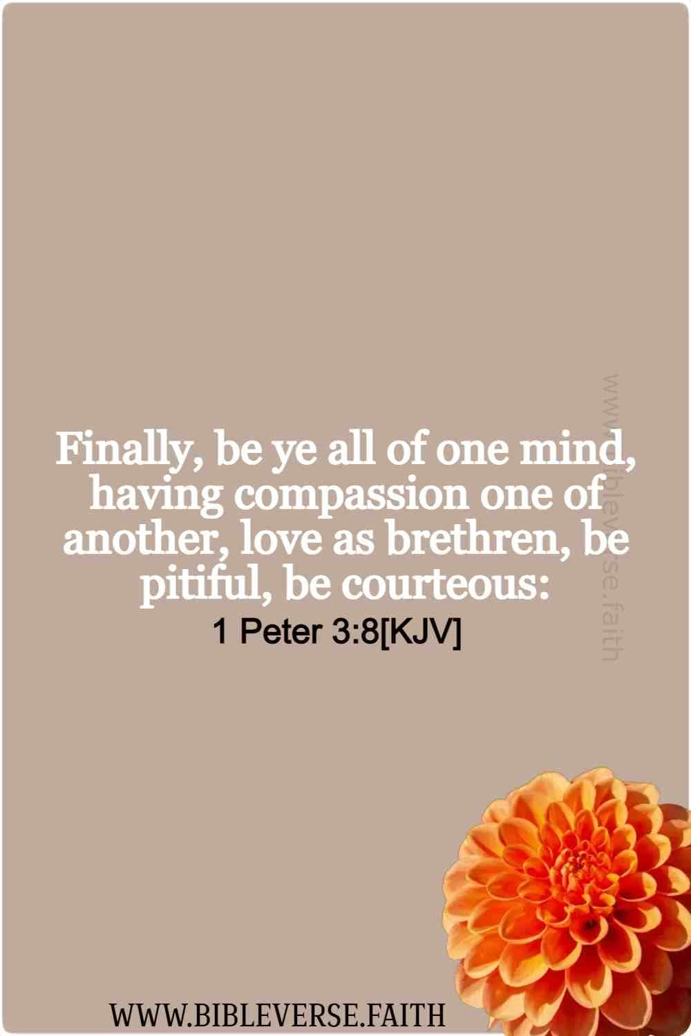1 peter 3 8[kjv] love one another bible verse