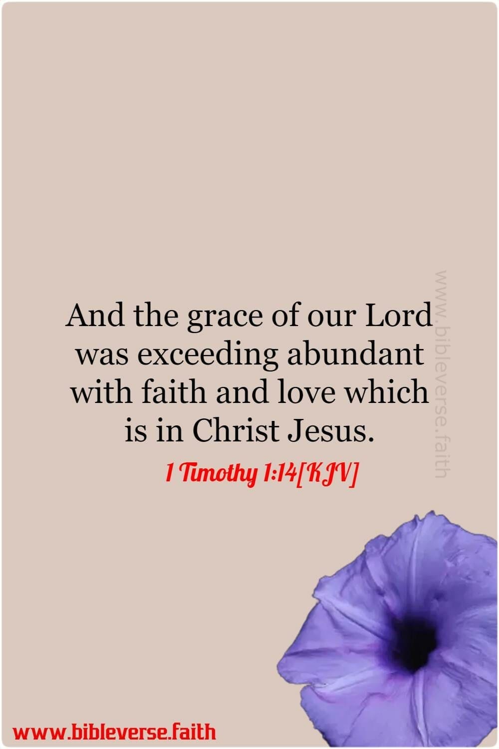 1 timothy 1 14[kjv] by grace through faith verse