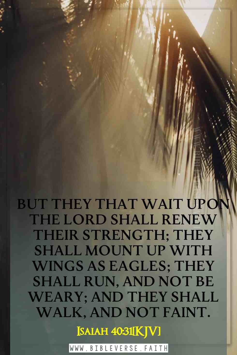 isaiah 40 31[kjv] bible verses about hope in hard times