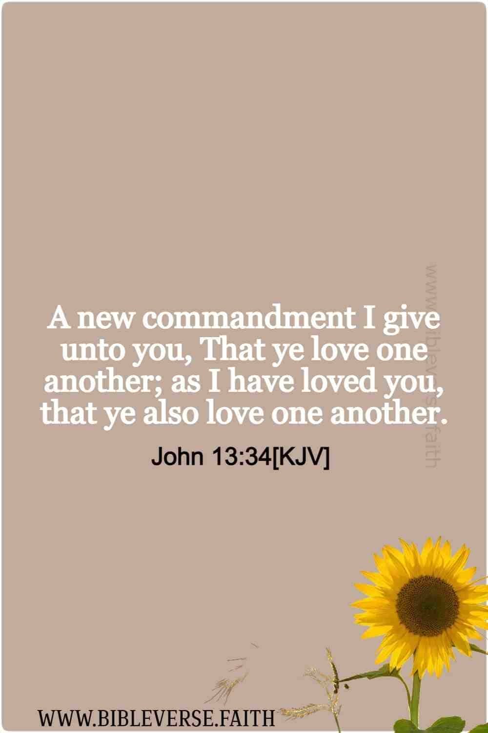 john 13 34[kjv] love one another bible verse