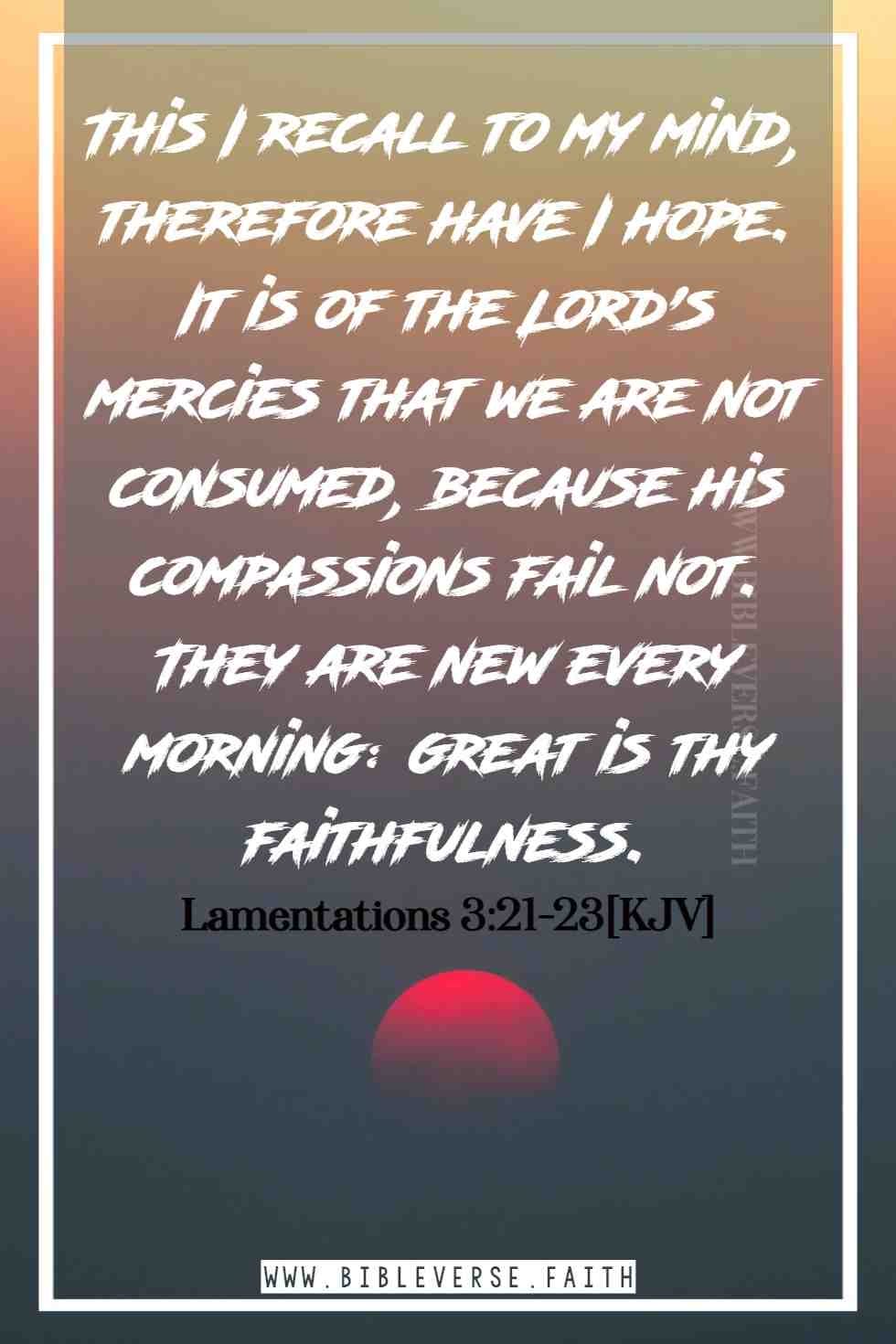 lamentations 3 21 23[kjv] bible verse about hope for the future