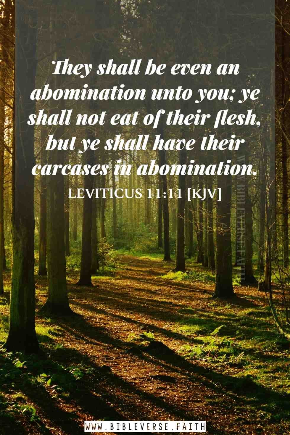 leviticus 11 11 [kjv] abomination in the bible