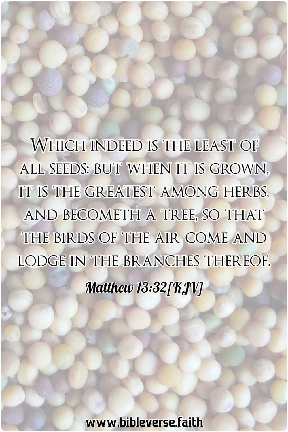 matthew 13 32[kjv] mustard seed in the bible
