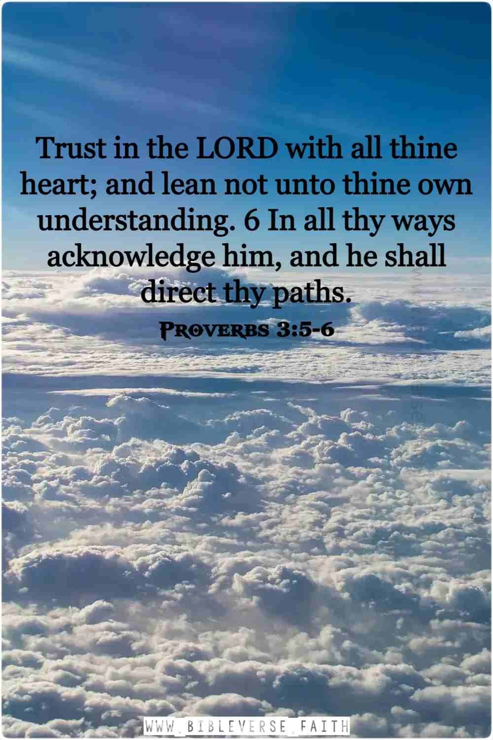 proverbs 3 5 6 bible verses about trusting god's plan