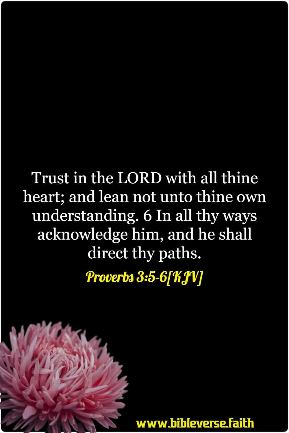 proverbs 3 5 6[kjv] bible verses about faith in hard times