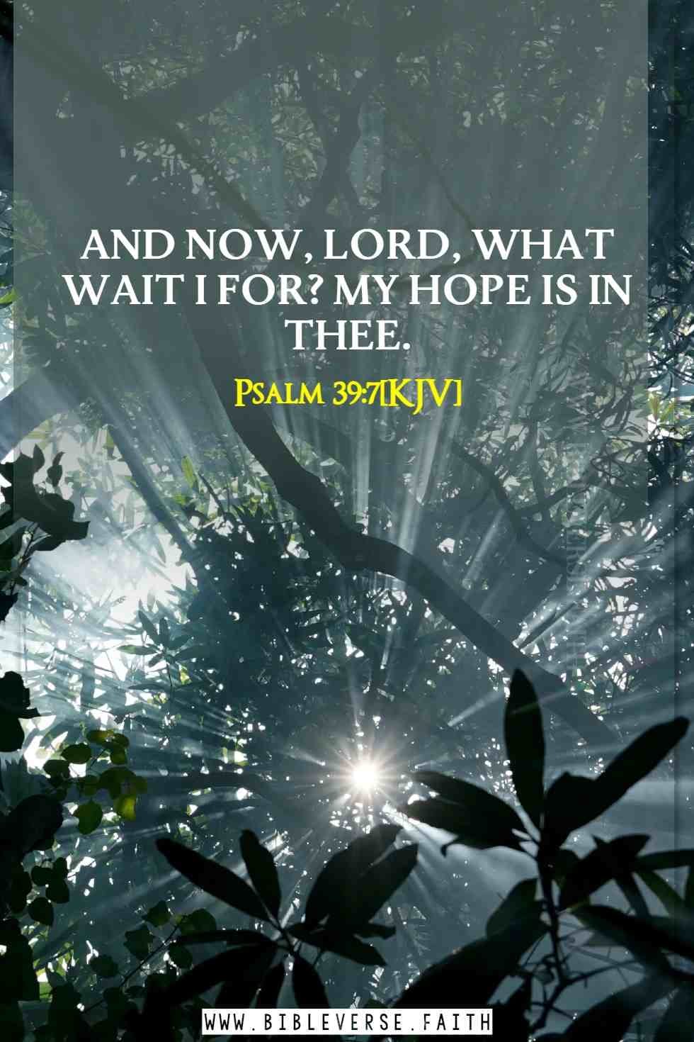psalm 39 7[kjv] bible verses about hope in hard times