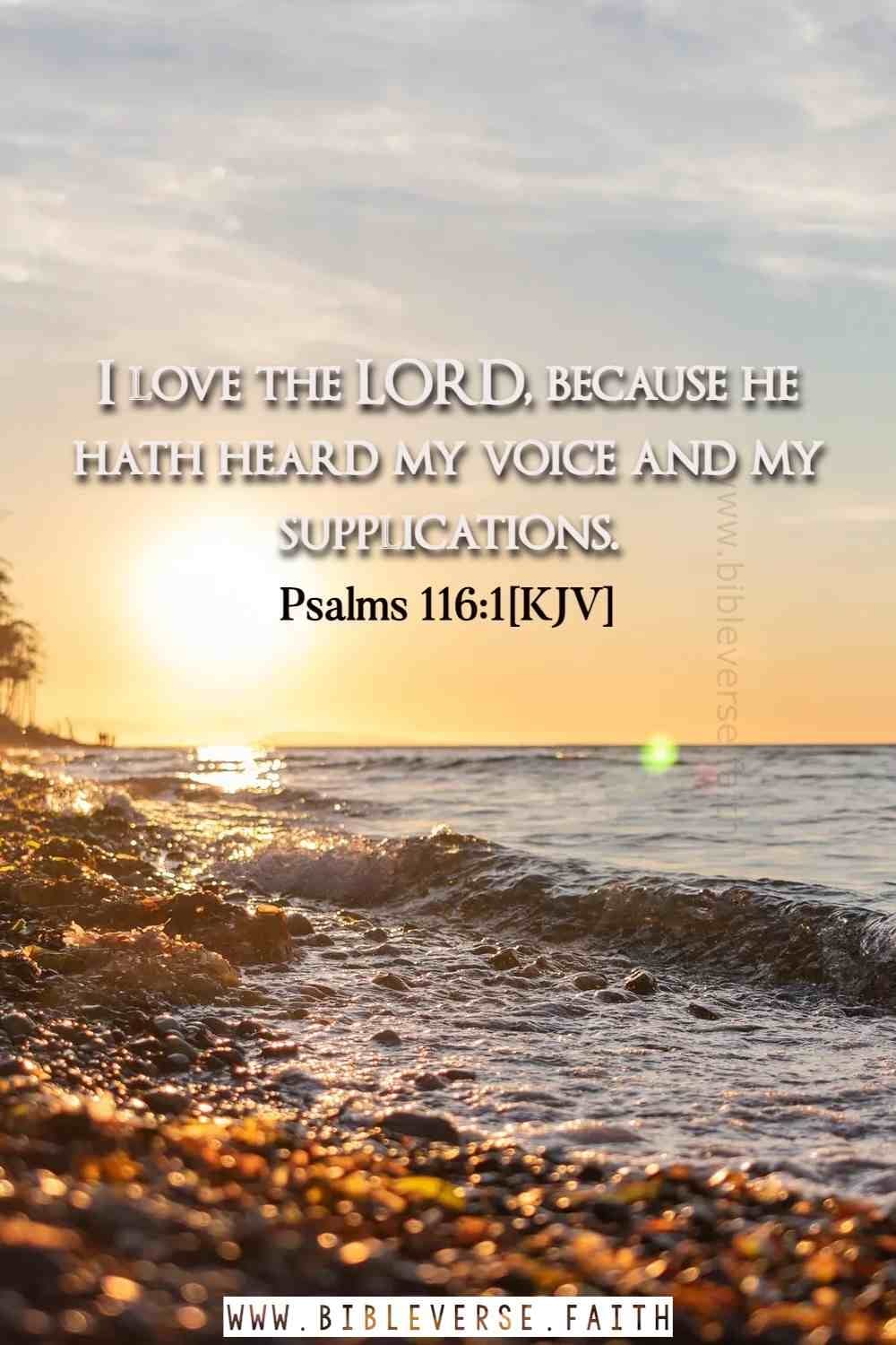 psalms 116 1[kjv] psalms about god's love