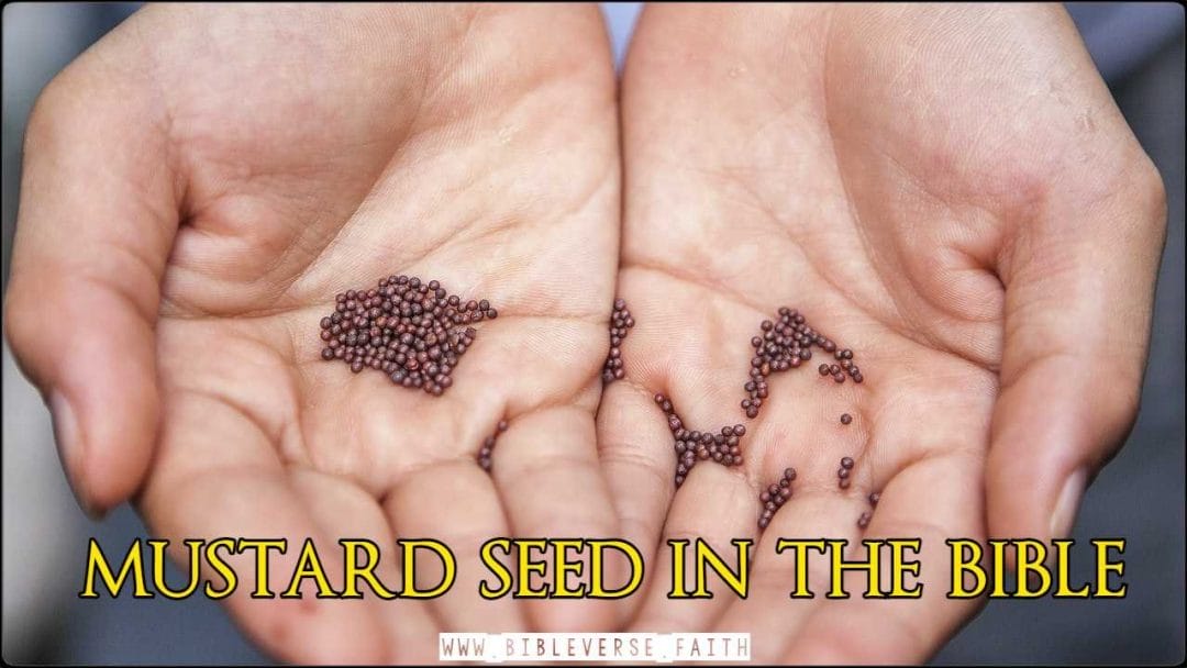 mustard seed in the bible