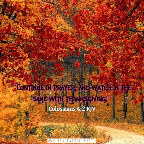colossians 4 2 kjv thankful quotes to god for his blessings