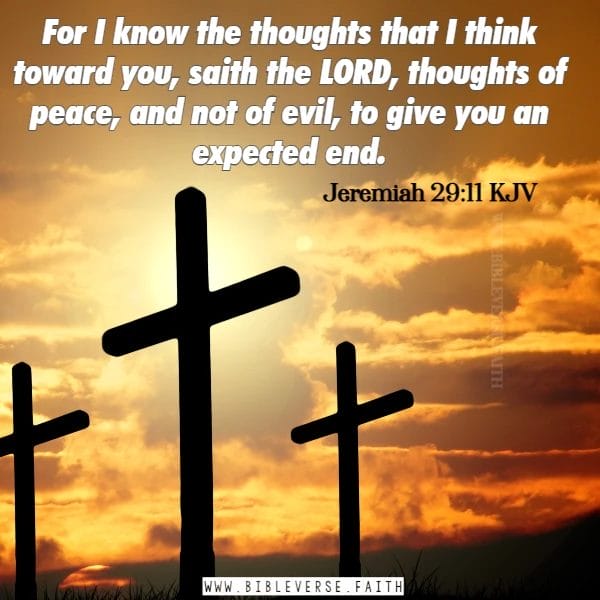 jeremiah 29 11 kjv bible verse about christmas kjv