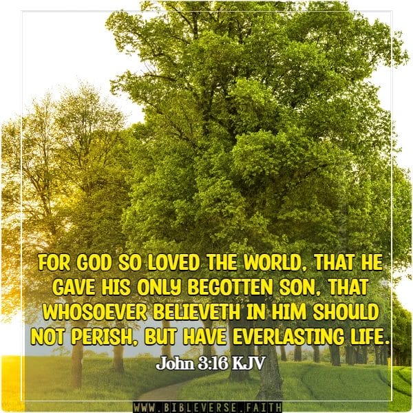 john 3 16 kjv bible verses about gifts from god