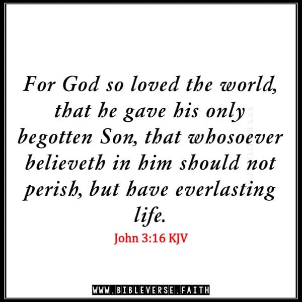 john 3 16 kjv bible verses about self love images