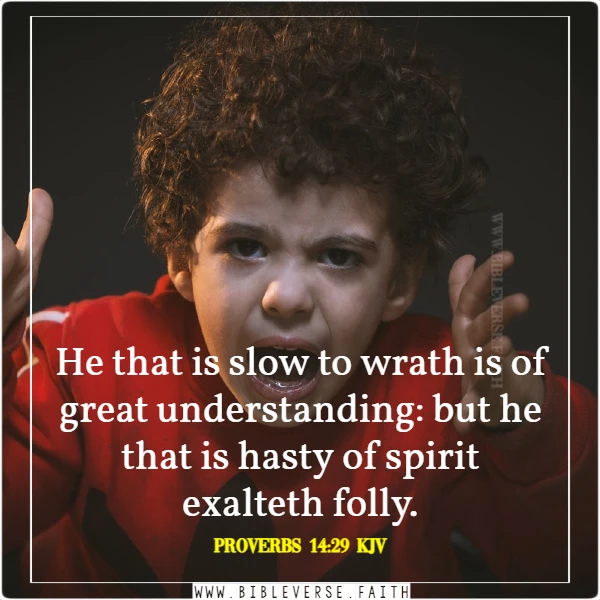 proverbs 14 29 kjv slow to anger proverbs