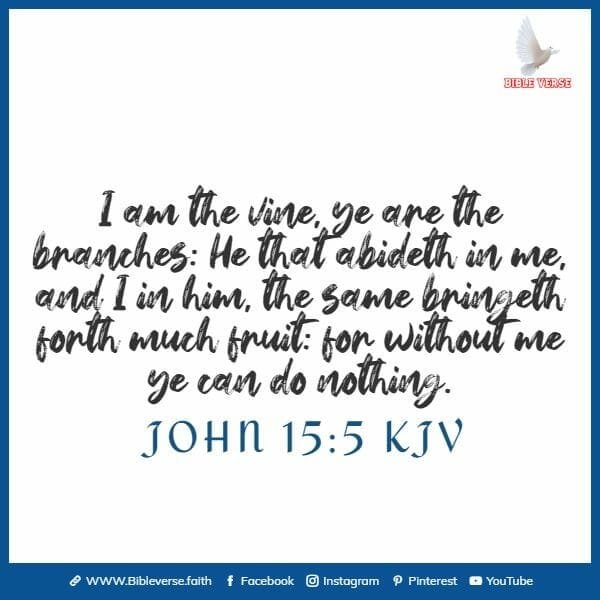 john 15 5 kjv bible verse about believing in yourself