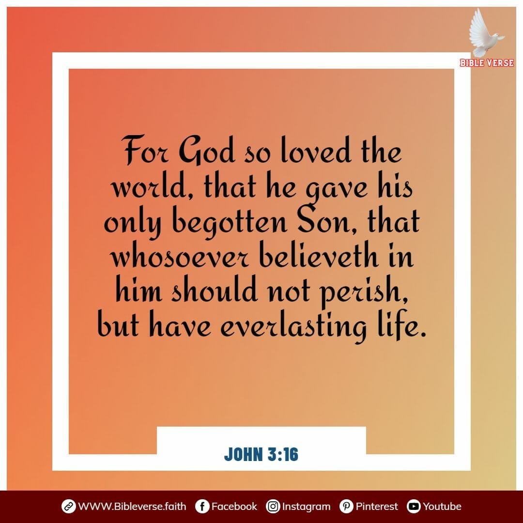 john 3 16 bible verses about love and trust