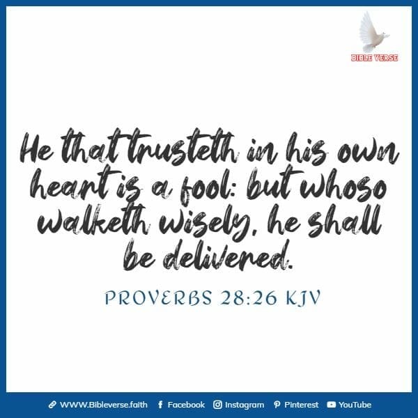 proverbs 28 26 kjv bible verse about believing in yourself