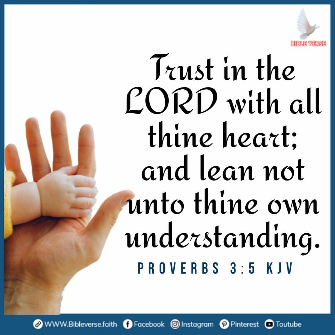proverbs 3 5 kjv bible verses about trust