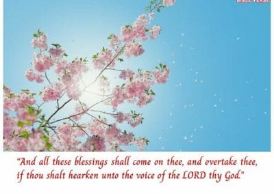 deuteronomy 28 2 kjv bible verses about blessings from god
