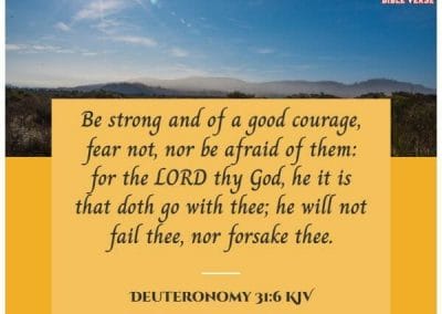 deuteronomy 31 6 kjv bible verse about faith and hope