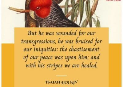 isaiah 53 5 kjv bible verse for hope and healing