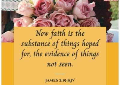 james 2 19 kjv bible verse about faith and hope (1)