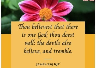james 2 19 kjv bible verse about faith and hope
