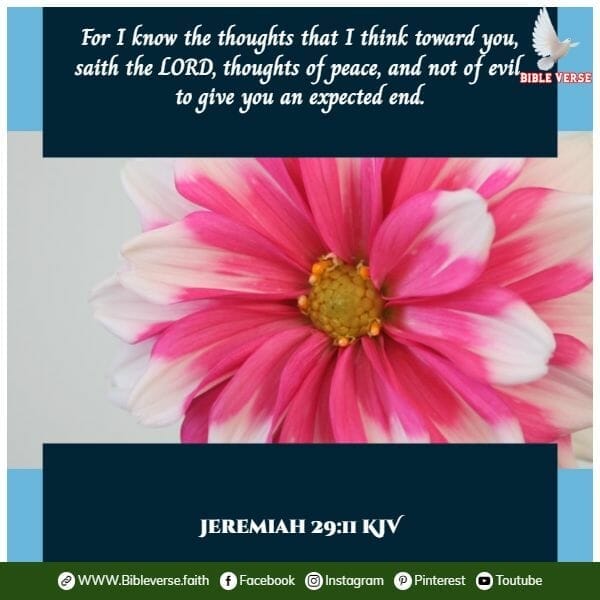 jeremiah 29 11 kjv bible verses about hope and encouragement