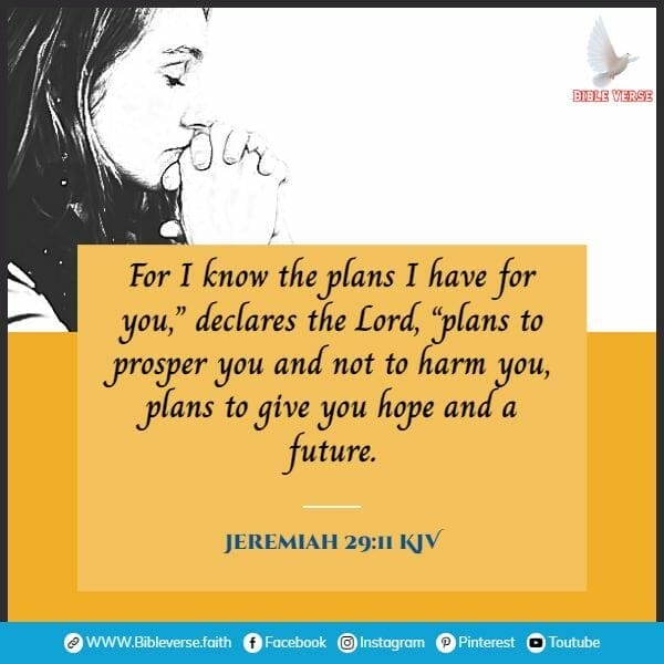 jeremiah 29 11 kjv bible verses about hope in hard times