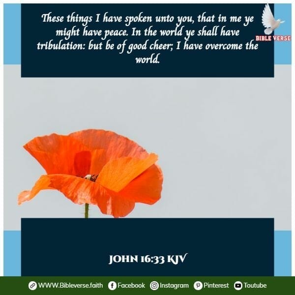 john 16 33 kjv bible verses about hope and encouragement