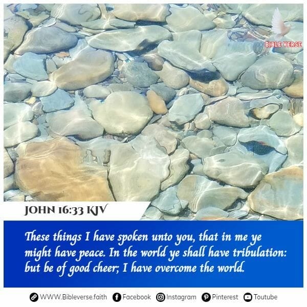 john 16 33 kjv bible verses on courage