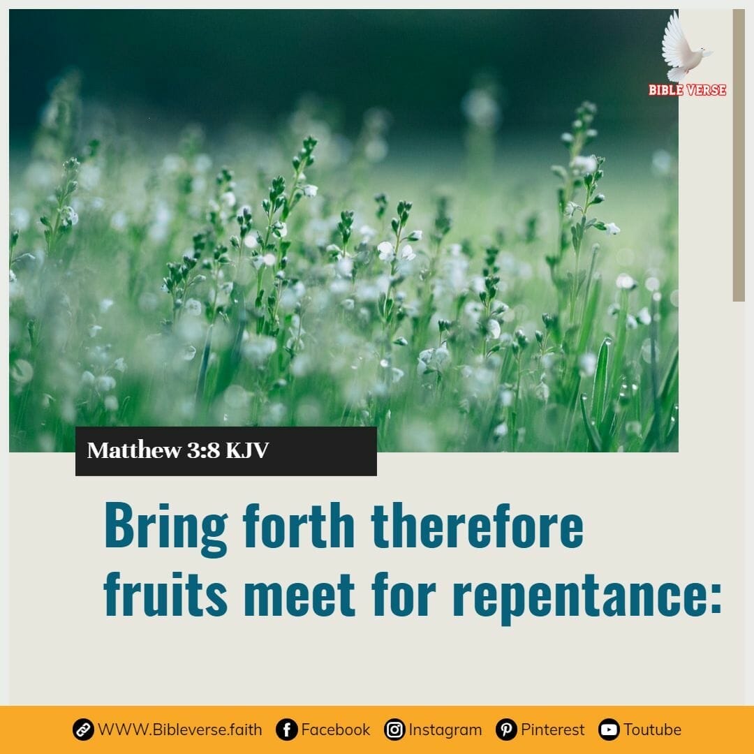matthew 3 8 kjv bible verses for forgiveness and repentance