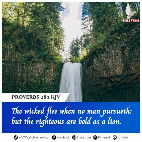 proverbs 28 1 kjv bible verses on courage