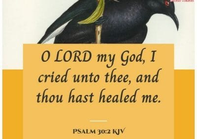 psalm 30 2 kjv bible verse for hope and healing