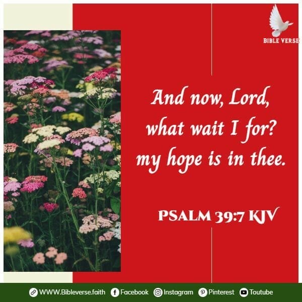 psalm 39 7 kjv bible verse about hope for the future