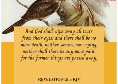 revelation 21 4 kjv bible verse for hope and healing