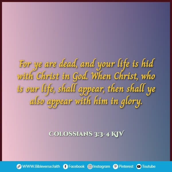 colossians 3 3 4 kjv bible verses about life