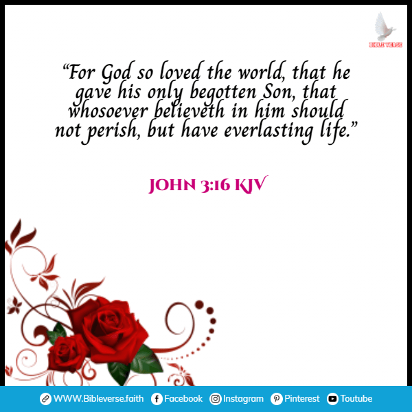 john 3 16 kjv bible verses about life after death