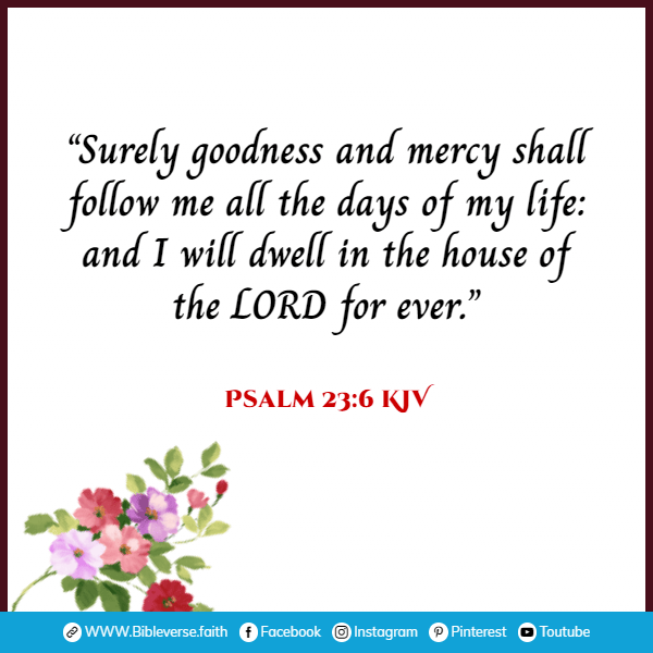 psalm 23 6 kjv bible verses about life in heaven