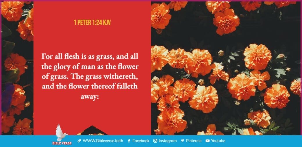 1 peter 1 24 kjv bible verses about flowers