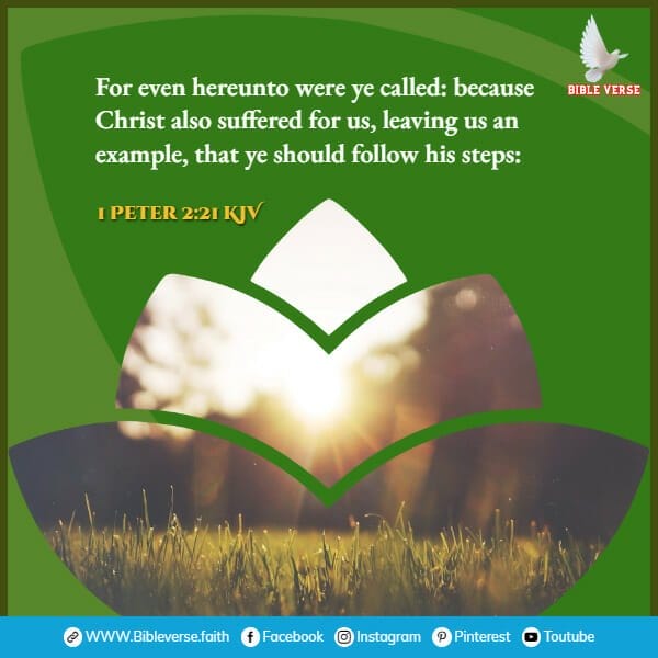 1 peter 2 21 kjv bible verses about suffering