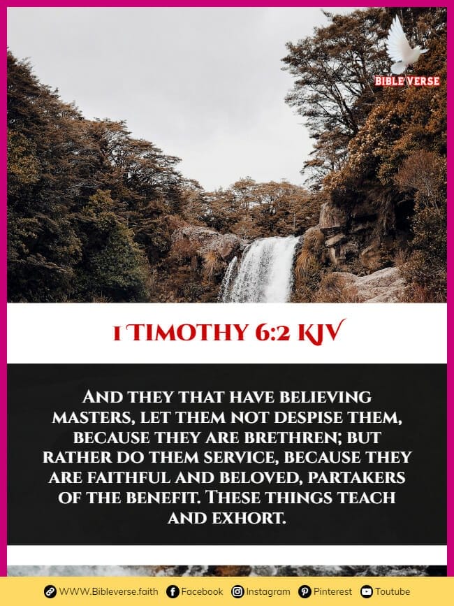 1 timothy 6 2 kjv bible verses for fellowship
