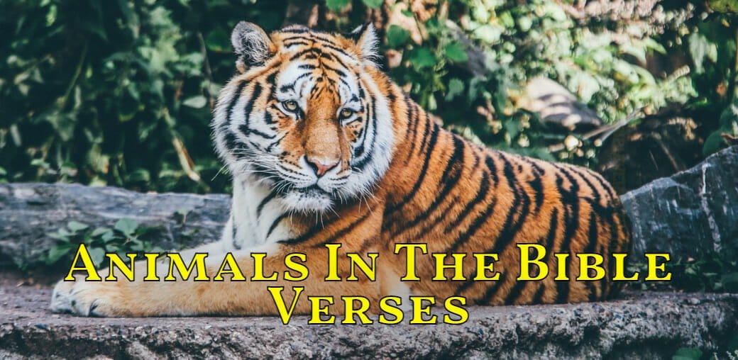 animals in the bible verses