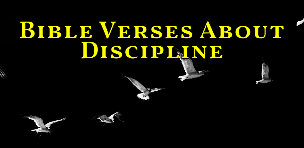 bible verses about discipline