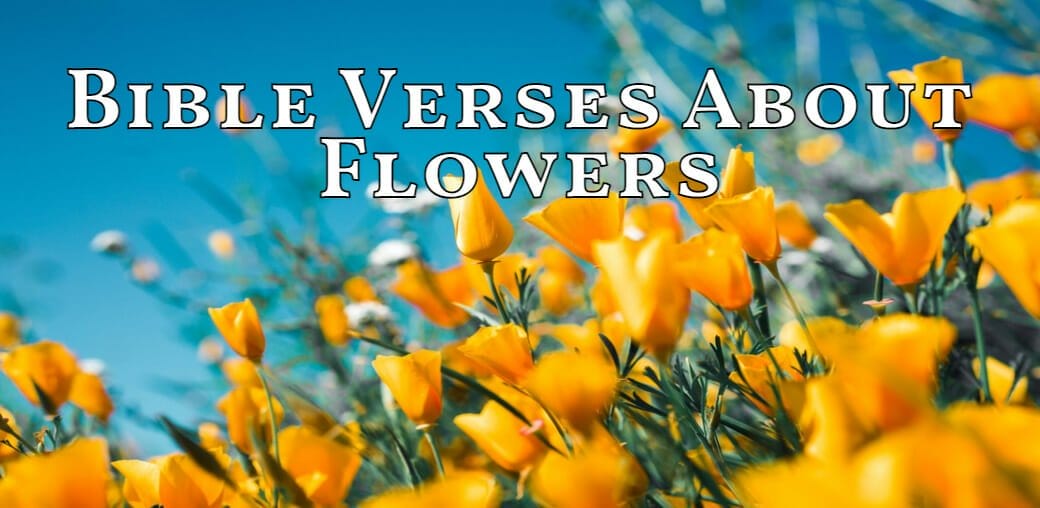 bible verses about flowers