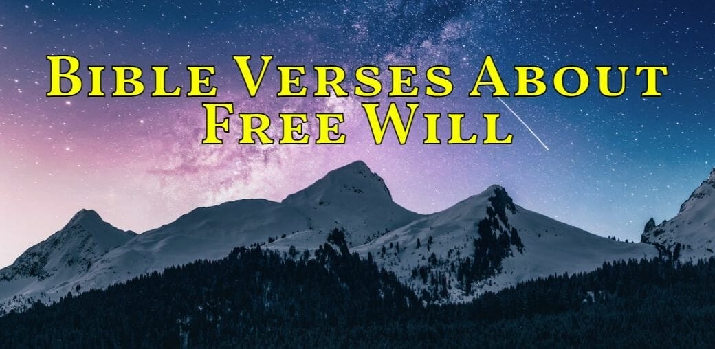 bible verses about free will