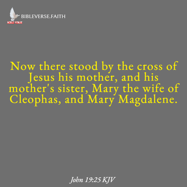 john 19 25 kjv bible verses on sisters