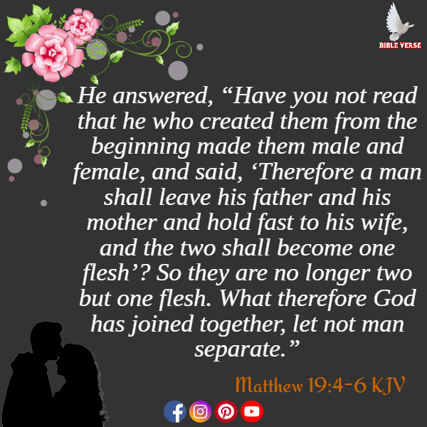 matthew 19 4 6 kjv bible verse marriage between man and woman