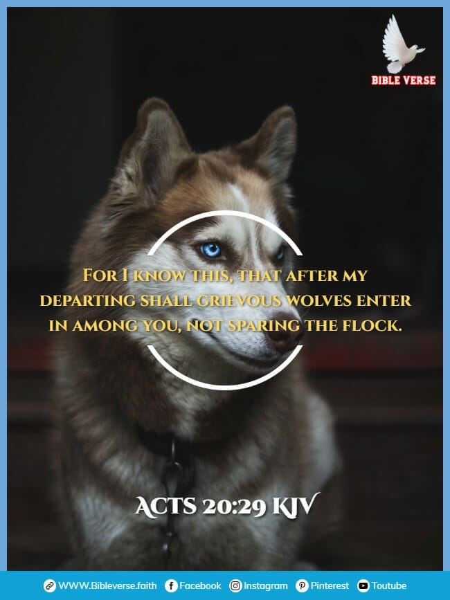 acts 20 29 kjv animals in the bible verses