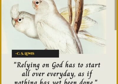 c s lewis inspirational christian quotes about life