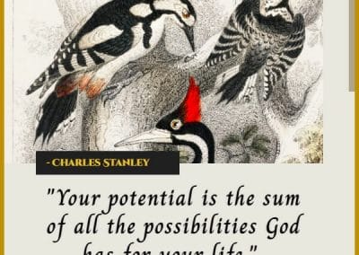 charles stanley inspirational christian quotes about life